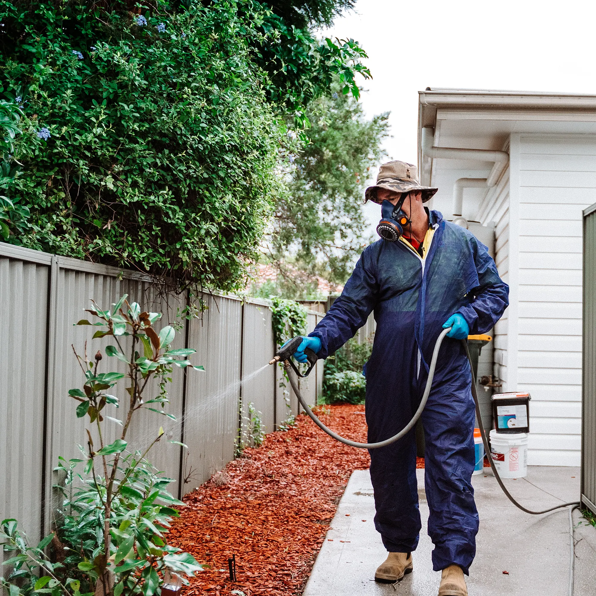 Perimeter pest treatment along the side of a Sydney home