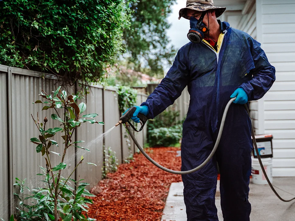 Perimeter pest treatment along the side of a Sydney home
