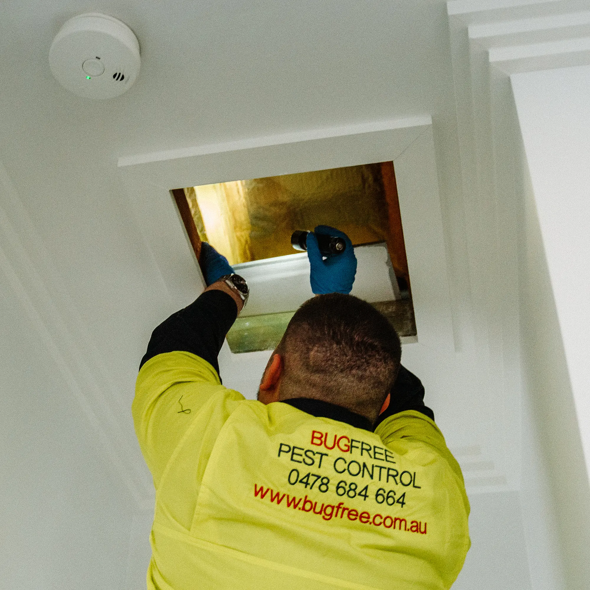 Bug Free technician opening a roof void access hatch to inspect
